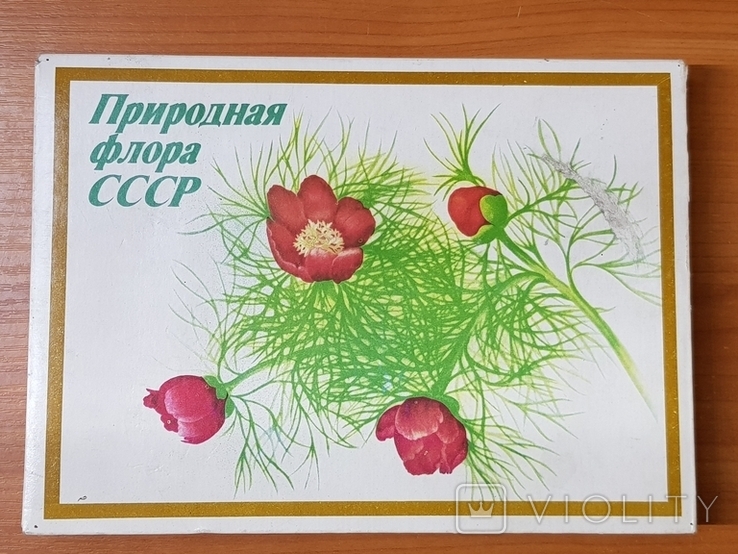 Спички сувенирный набор Природная флора СССР