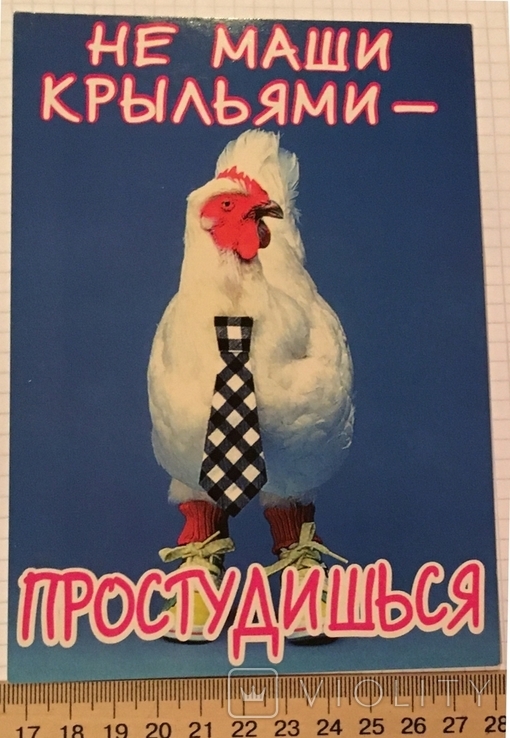 Картка чиста: не махайте крилами, ви застудитеся! / Валімекс, фото №3