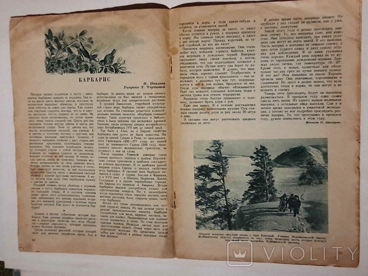 Журнал Юный Натуралист, 1940 год, фото №4
