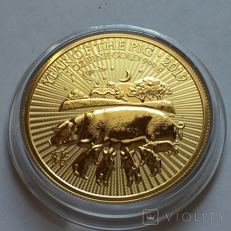 Золотая монета Год Свиньи.Британия 2019 г. Золото 1 OZ., фото №3