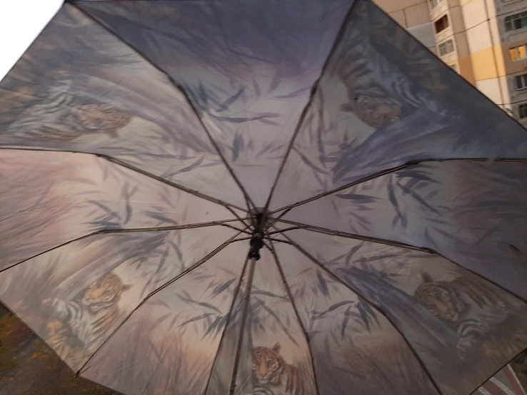 Женский зонтик полуавтомат Covalle (джунгли), фото №3