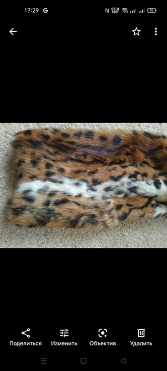 Шуба камышовый кот, липпи, фото №7