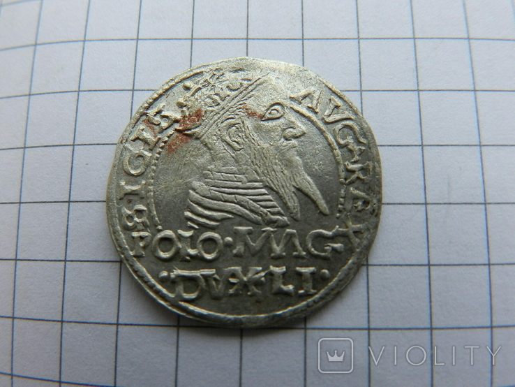 Грош Сигизмунд II Август 1567 р. ( R )