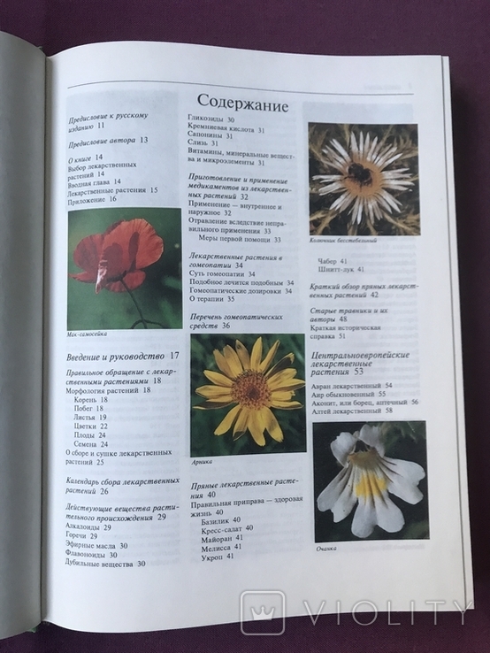 Encyclopedia of medicinal plants. Mannfried Palow. Moscow, 1998., photo number 5