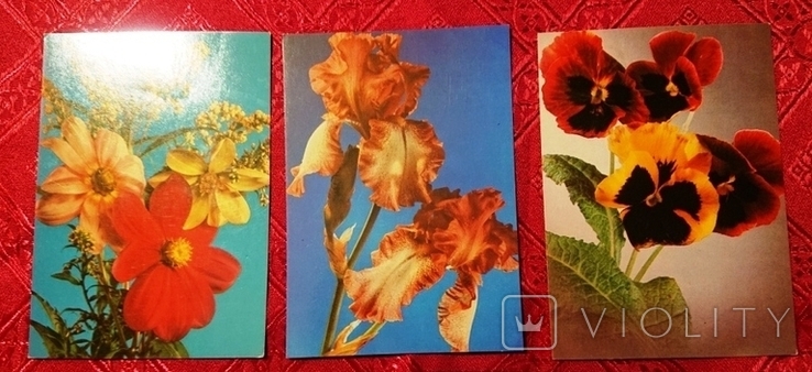 5 открыток, Польша, приобретены около 40 лет назад, фото №3