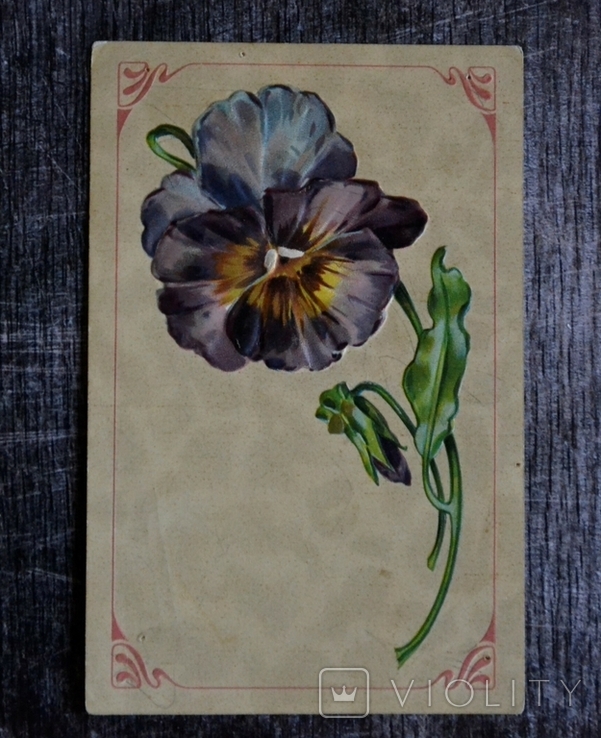 Старинная открытка: Цветы. Фиалка. Открытое письмо., фото №2
