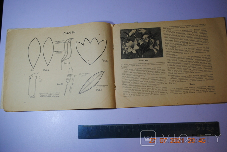 Книга «Квіти матерії», 1957, фото №7