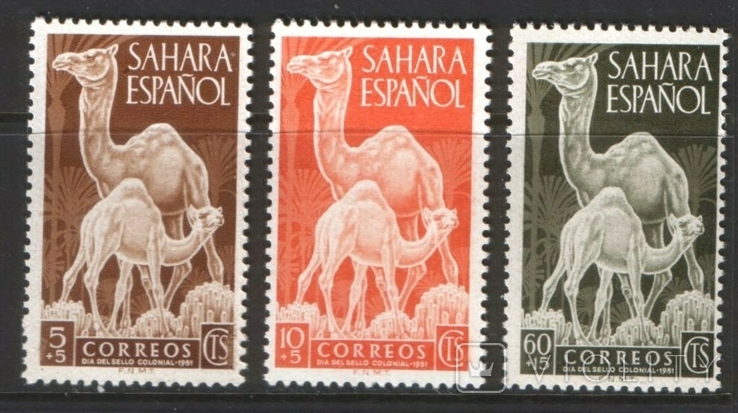 Испанские колонии . Сахара . 1961 г. Фауна . MNH 1951 г.