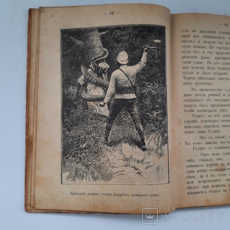 1902 г. Путешествие по Индии - 40 иллюстраций, фото №7