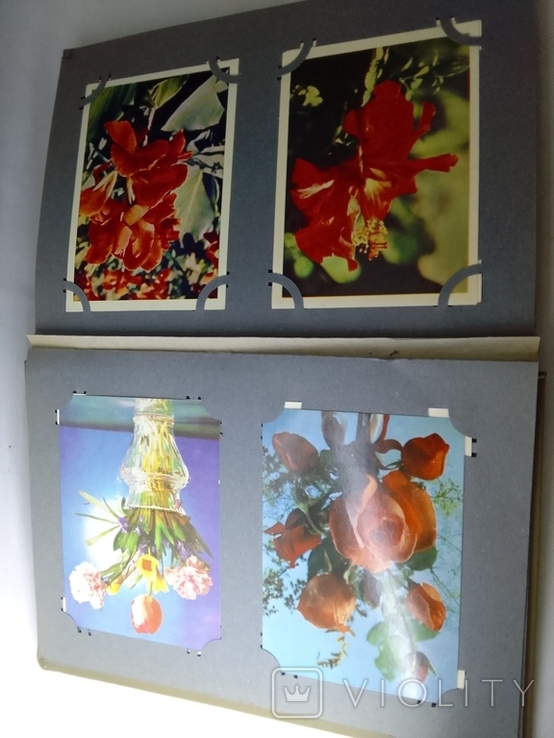 Колекція листівок Квіти 610шт 5 альбомів у валізі, фото №7