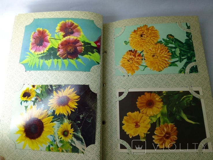 Колекція листівок Квіти 610шт 5 альбомів у валізі, фото №8