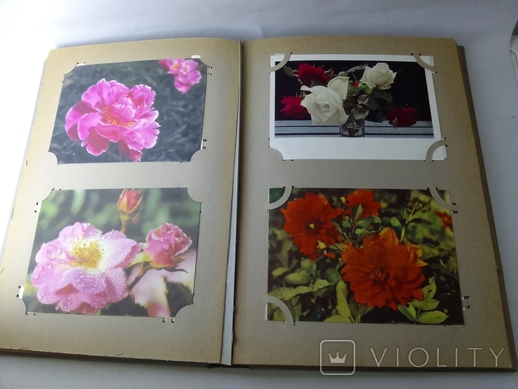 Колекція листівок Квіти 610шт 5 альбомів у валізі, фото №9