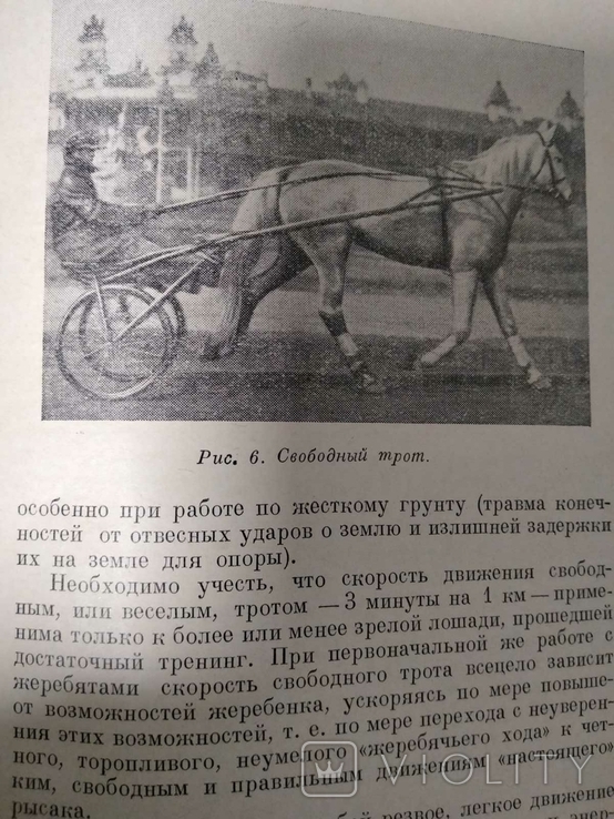 Тренинг и испытания рысистых лошадей 1952 год, фото №10
