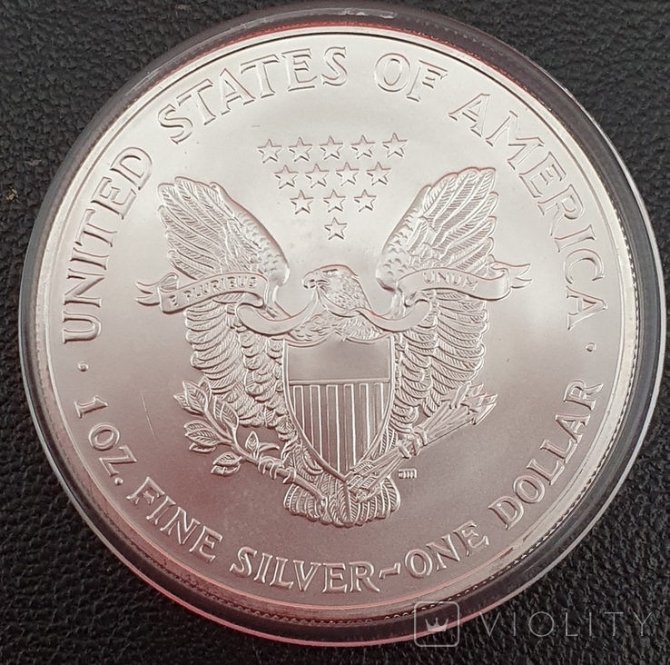 С1 доллар США Шагающая Свобода -Серебрянный орел 2004 г, серебро, photo number 5