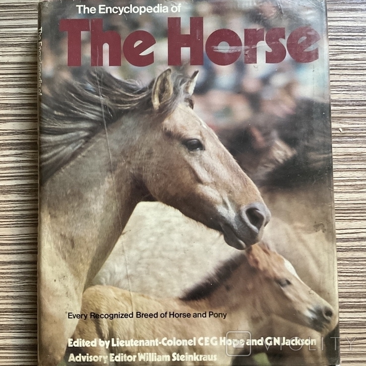 Енциклопедія. Коні The Encyclopedia of the Horse 1974, фото №2