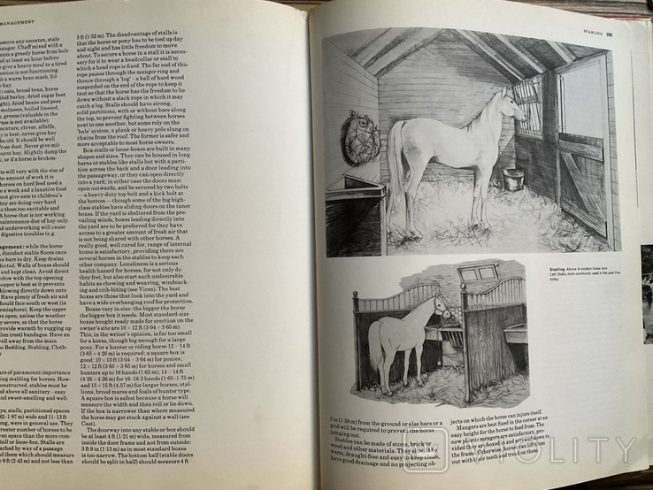 Енциклопедія. Коні The Encyclopedia of the Horse 1974, фото №9