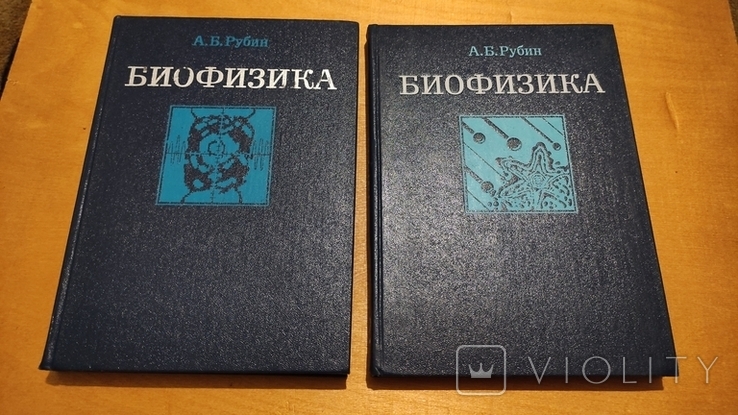 А.Б. Рубин Биофизика 2 тома 1987 года, фото №2