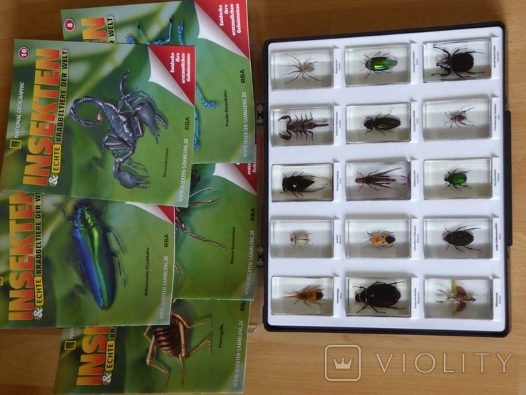 Коллекция жуков от Национального Географического Общества №2, фото №5