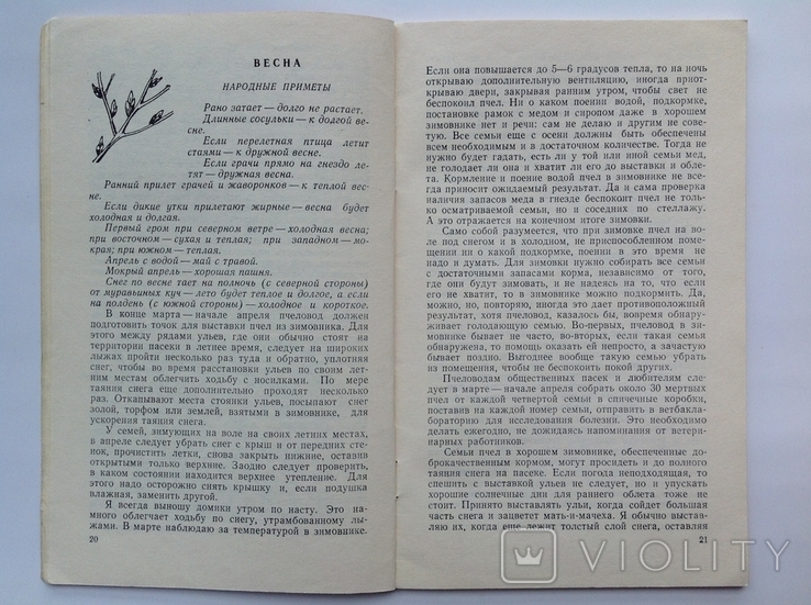 Календарь пчеловода. Нестеров А., фото №8