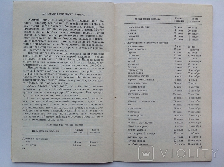 Календарь пчеловода. Нестеров А., фото №11