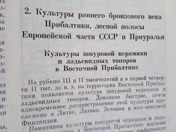Эпоха бронзы лесной полосы СССР Археология, фото №12