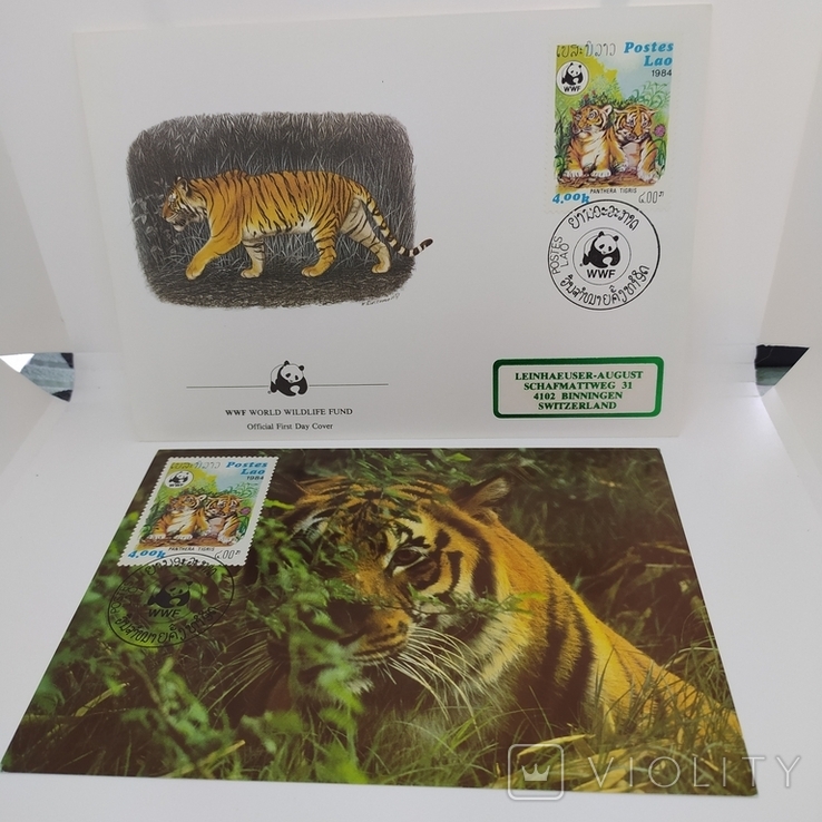 Конверт с открыткой wwf Postes Lao 1984 тигр 4, фото №2