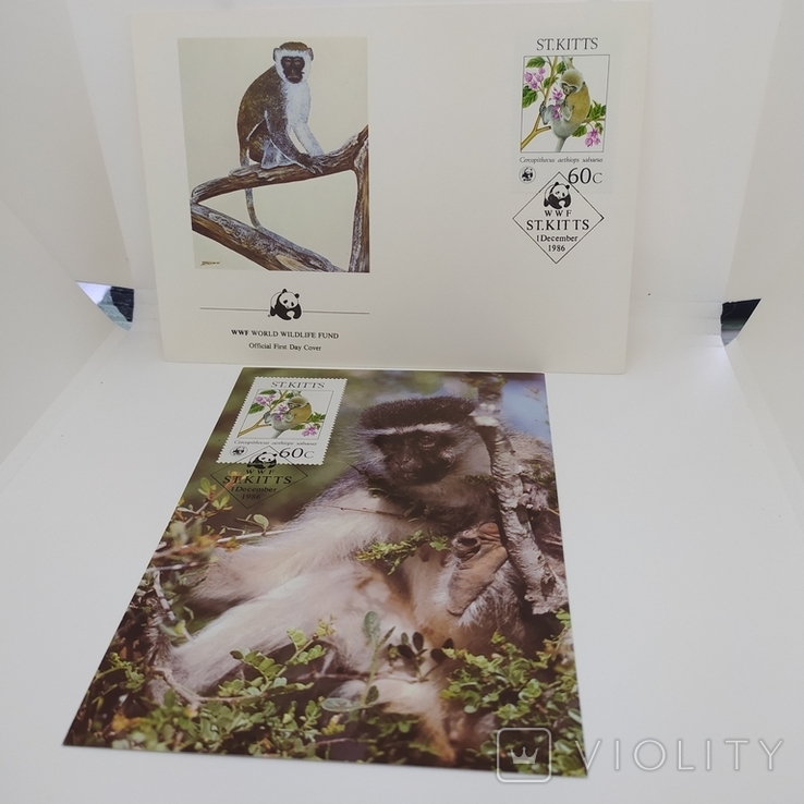 Конверт с открыткой wwf 1986 ST. Kitts обезьяна 2, фото №2