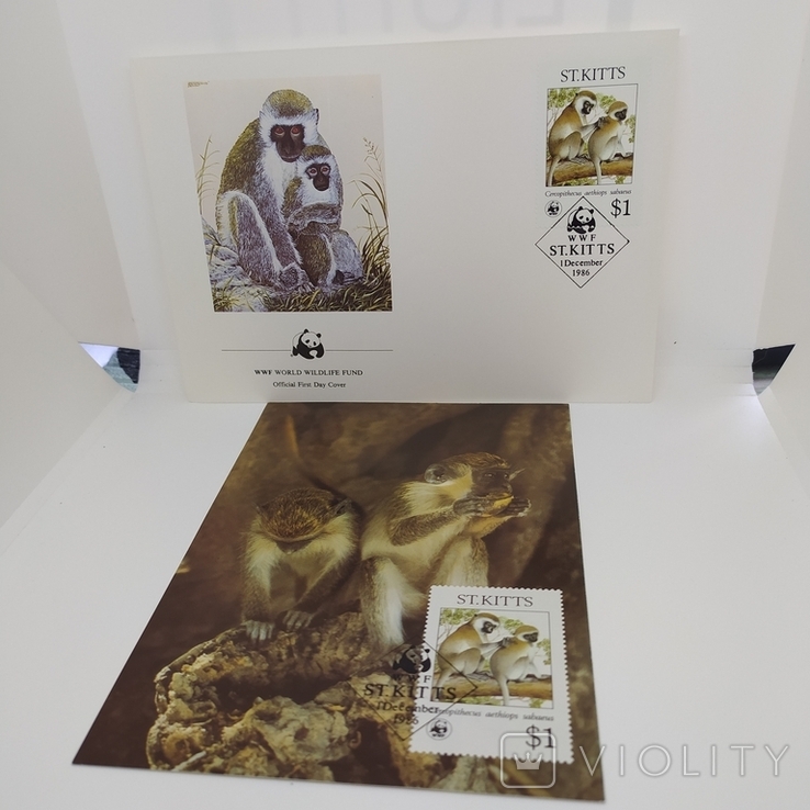 Конверт с открыткой wwf 1986 ST. Kitts обезьяна 3, фото №2