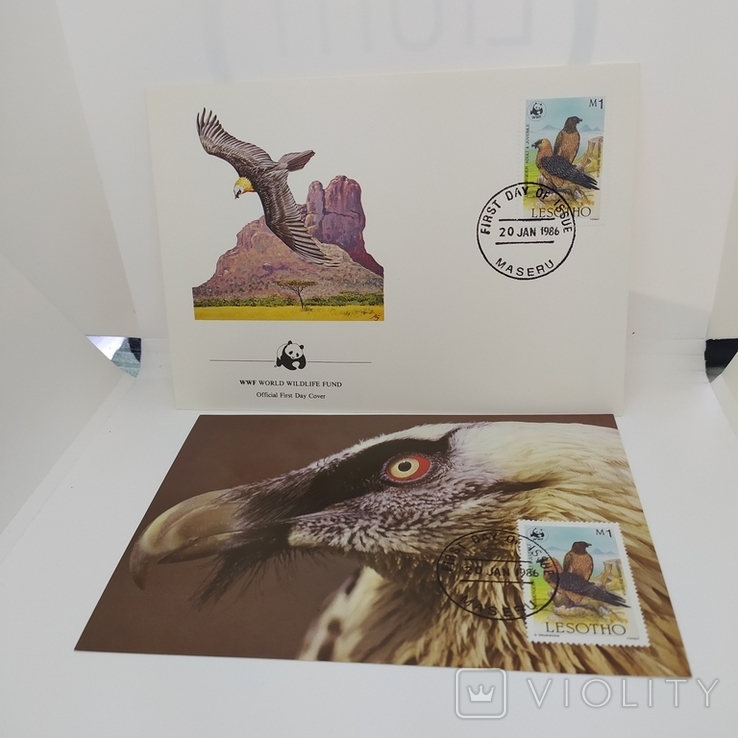Конверт с открыткой wwf 1986 Lesotho птица 2, фото №2