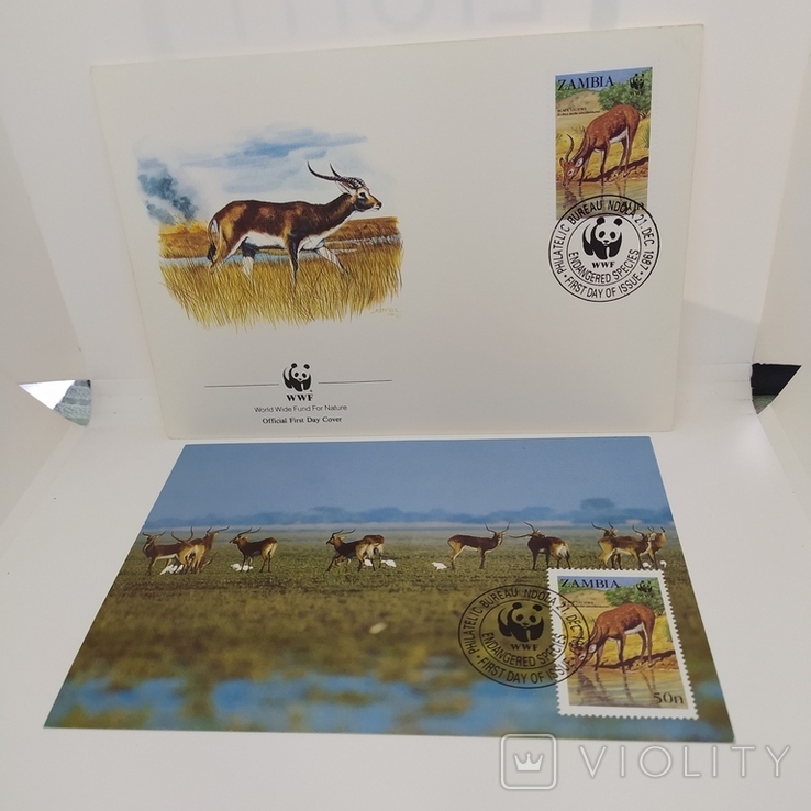 Конверт с открыткой wwf 1987 Zambia 3, фото №2