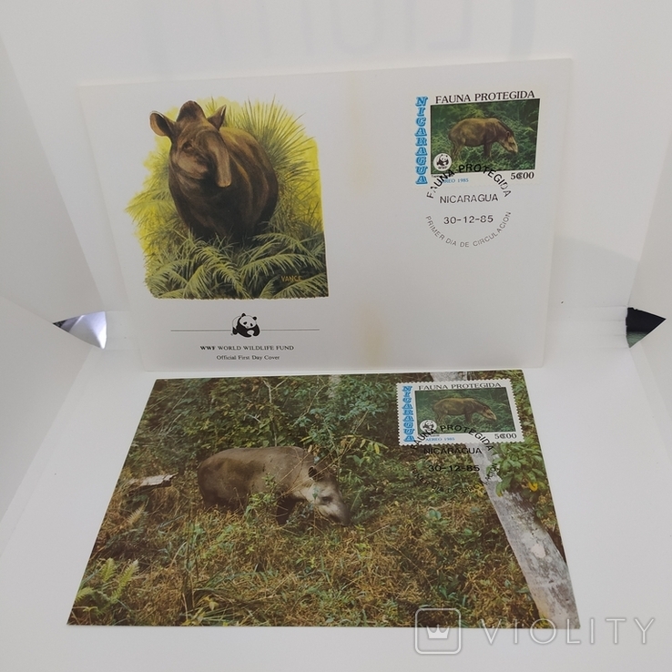 Конверт с открыткой wwf 1985 Nicaragua тапирус 2, фото №2