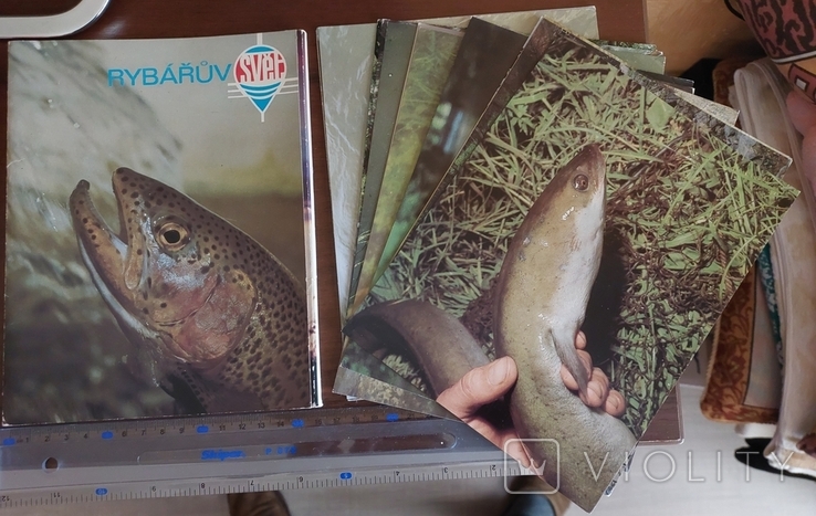 Набор фотокарточек рыбы Чехия на чешском языке, фото №2