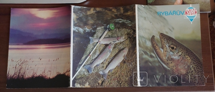 Набор фотокарточек рыбы Чехия на чешском языке, фото №11