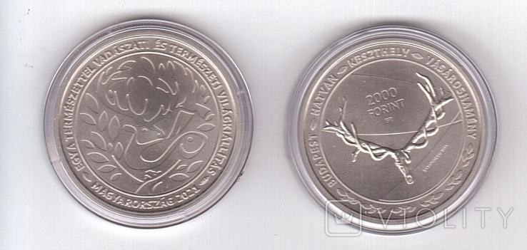 Hungary Hungary - 2000 Forint 2021 World of Hunting and Nature comm. in capsule