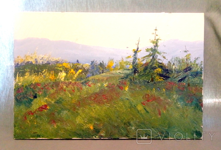 Oil Painting Forest Landscape Europe Frame ROSA Studio 60*40cm, photo number 2