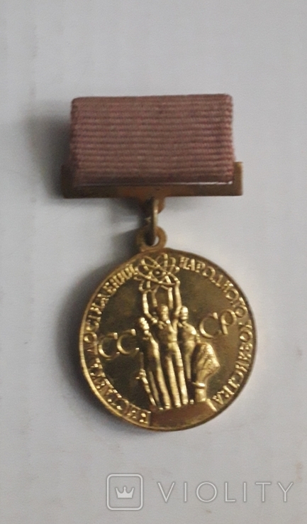 Бронзовая медаль ВДНХ с документами., фото №2