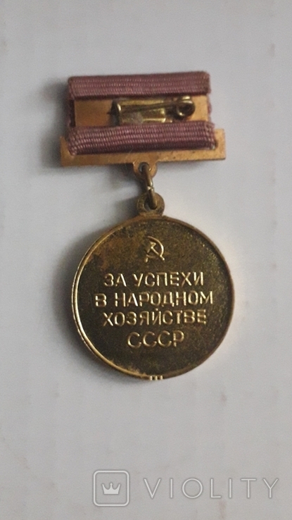 Бронзовая медаль ВДНХ с документами., фото №3