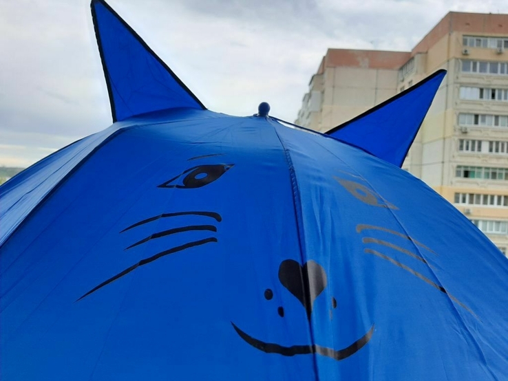Детский зонтик с ушками (синий), фото №3