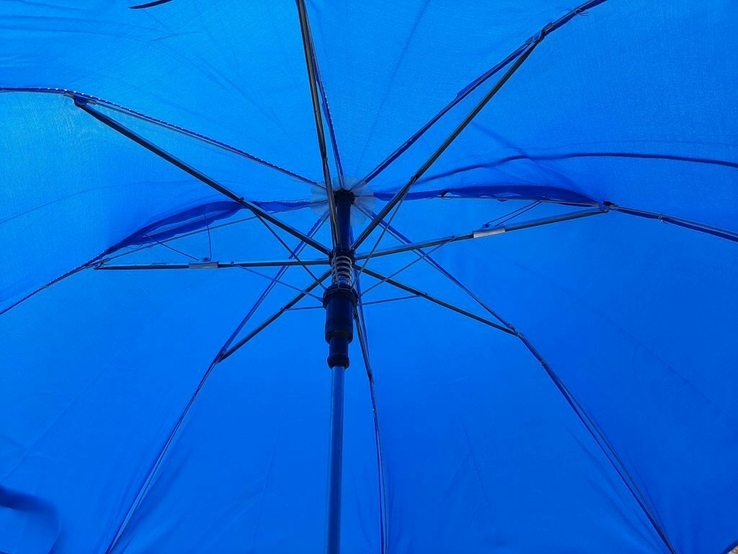 Детский зонтик с ушками (синий), фото №4