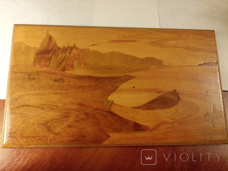 Painting on wood with veneer.Razm.33x19cm.Handmade from the times of the USSR., photo number 2