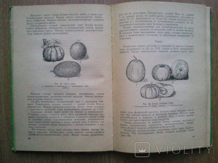 Commodity science of vegetables, fruits and wine. 1963 g., photo number 5