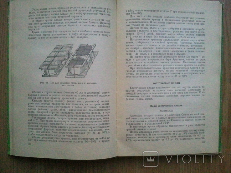Commodity science of vegetables, fruits and wine. 1963 g., photo number 6