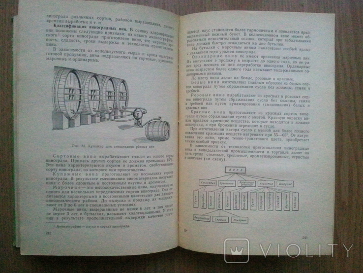 Commodity science of vegetables, fruits and wine. 1963 g., photo number 7