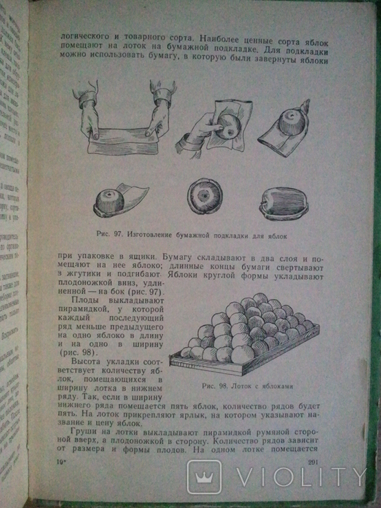 Commodity science of vegetables, fruits and wine. 1963 g., photo number 8