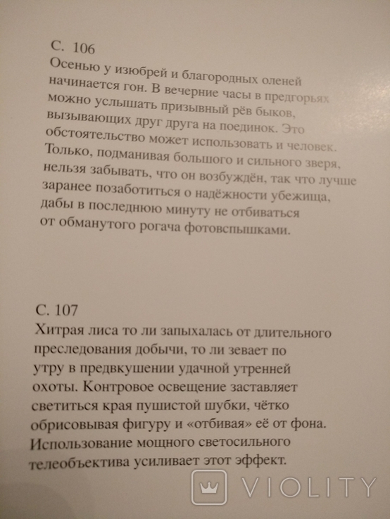  Рассветы и закаты, фото №9