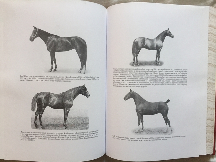 "Книга о лошади" князь С.Урусов.В 2-х томах, фото №11
