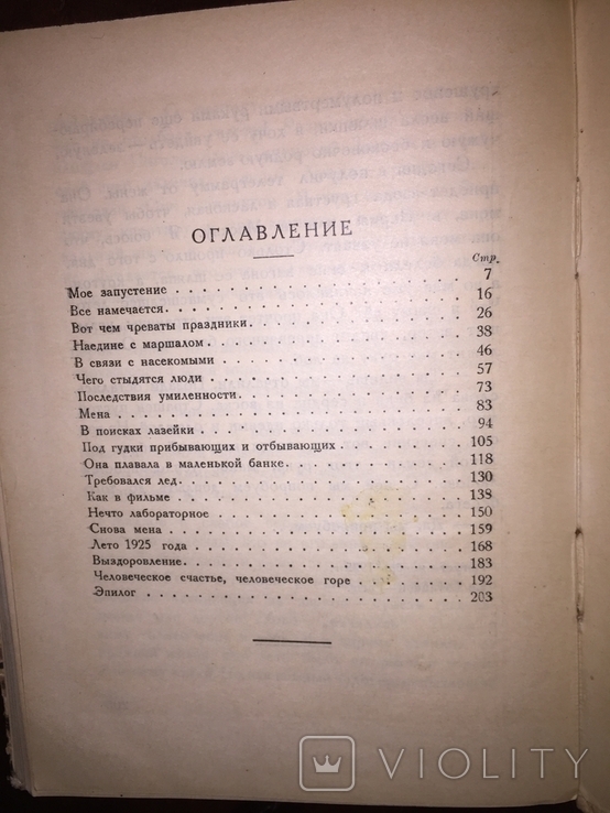 Новости русской литературы.Илья Эренбург.Лето 1925 года., фото №7