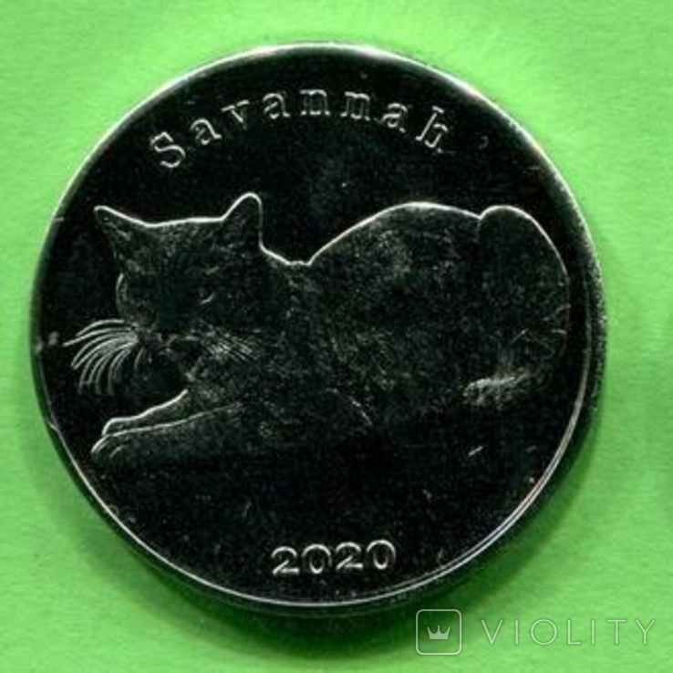 Строма 1 фунт 2020 кошка