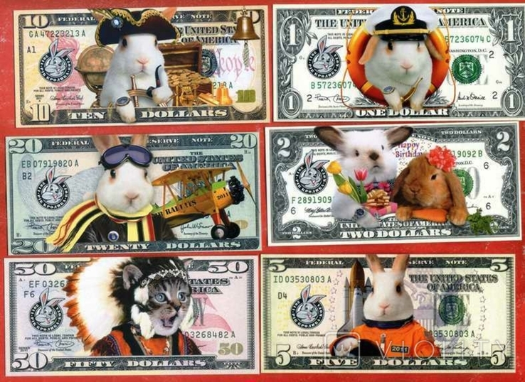 Кролик кіт заєць банкнота гроші 20 шт, фото №4