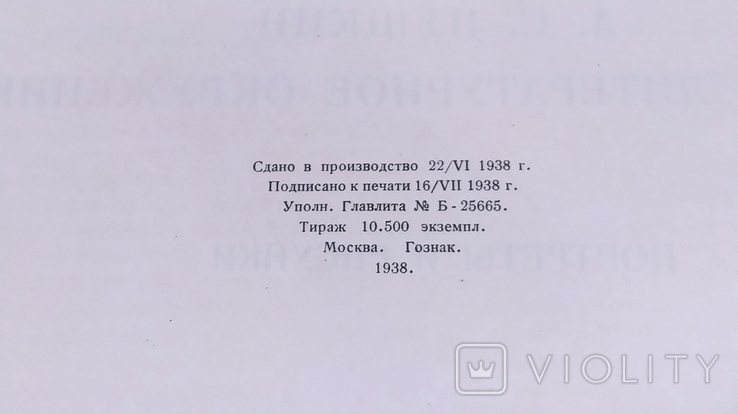Пушкін і його літературне оточення. Видання Державного літературного музею, 1938 р. + 25 репродукцій, фото №4